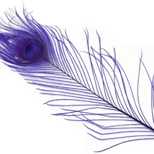 Iridescent Dyed Peacock Eyes